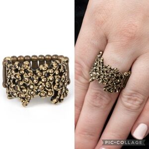 🐾 Sizzling Shimmer🐾